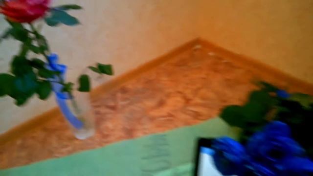 как цветы ноябрьск доставка смотреть онлайн