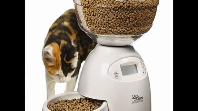 кормушка +для кошек +с таймером смотреть онлайн