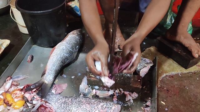 Big Size JAVA FISH Cutting Skills ll Bhetki FISH Cutting || Austrian Barramundi Fish смотреть онлайн