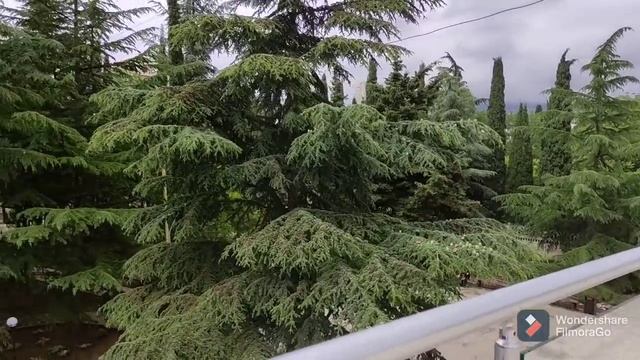 Отдых в Крыму. Самый правдивый отзыв о санатории Славутич в Алуште смотреть онлайн