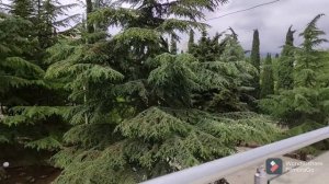 Отдых в Крыму. Самый правдивый отзыв о санатории Славутич в Алуште