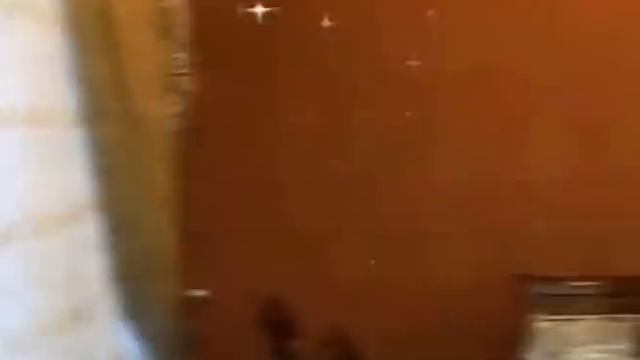 АЗИЗА -Дом торжеств- АЗЕРБАЙДЖАН , ЛЕНКОРАНЬ "STAR" STUDIO смотреть онлайн