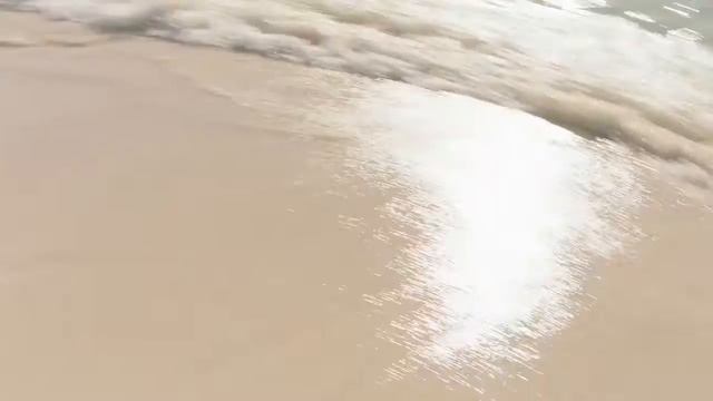 SHARK ATTACK | HORROR IN THE SEA | HORROR MOVIE смотреть онлайн