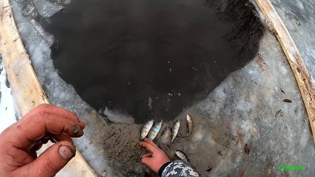 Рыбалка на Мордушки Катиски, по первому льду глубокой осенью в Сибиркой реке. Рыбалка в Сибири 2021 смотреть онлайн