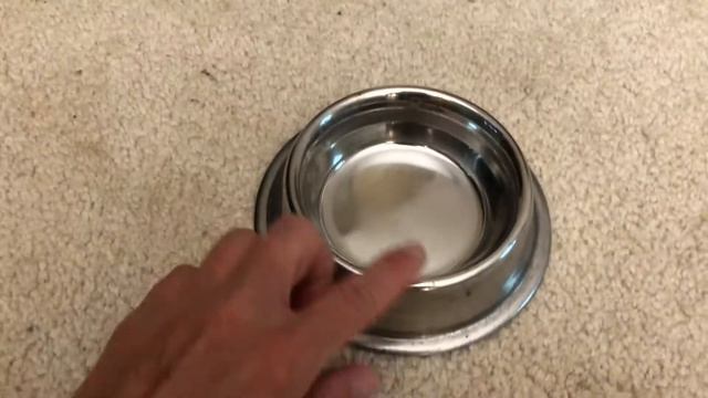 Pet Skunk’s Cozy Pen! смотреть онлайн
