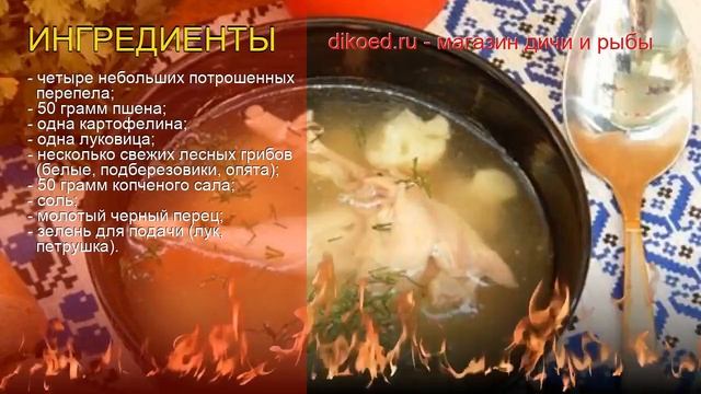 Зоопарк и Дикие Животные