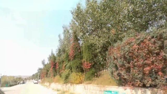 #8. Taian. Объехали город на такси. смотреть онлайн