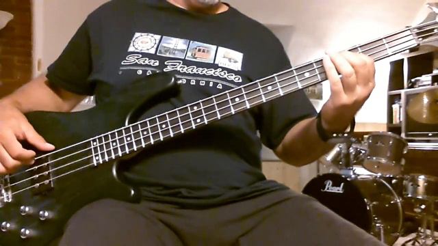 Passenger Let Her Go (Bass Cover) смотреть онлайн
