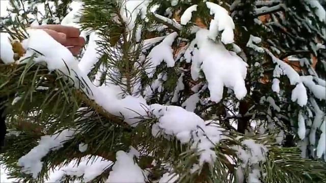 31 января. смотреть онлайн