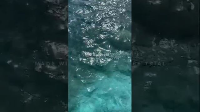 relax musik, yoga, meditation , музыка для сна релакс шум моря смотреть онлайн