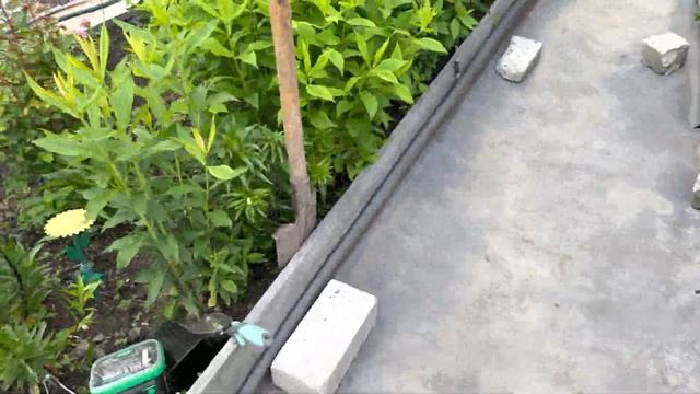 Обзор моей дачи 060623 год ,какое всё зелёное -какое всё красивое . смотреть онлайн