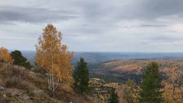 23 ноября 2020 г. смотреть онлайн