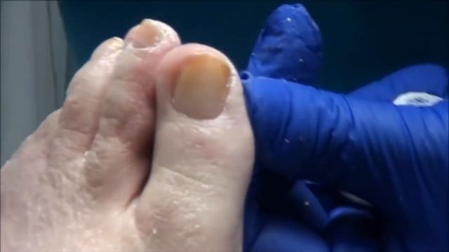 Morton's Musical Feet смотреть онлайн