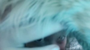 влог 2 прогулка