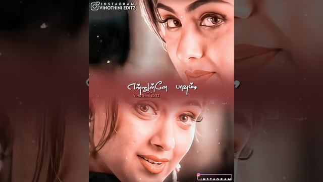 🧡💕மழையில் நனையும் பனிமலரை போலே💕🧡Minnal Oru Kodi Enthan Uyir Thedi Vanthathe HD Whatsapp Status💕🧡 смотреть онлайн