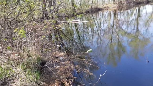 ПОПАЛАСЬ ЦАРСКАЯ РЫБА ЩУКА смотреть онлайн