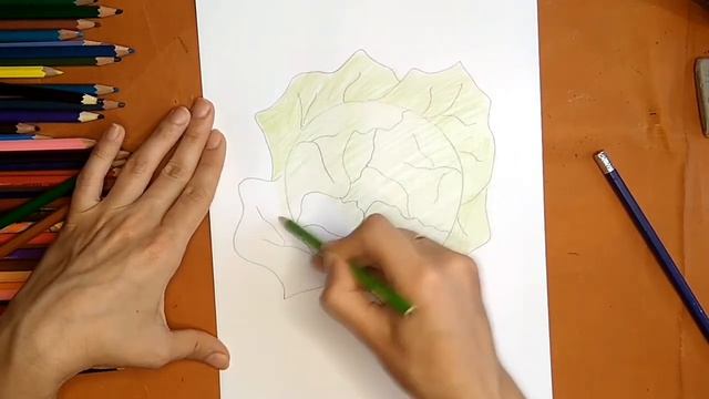 Как нарисовать капусту. Онлайн-школа рисования "Малевашки" смотреть онлайн
