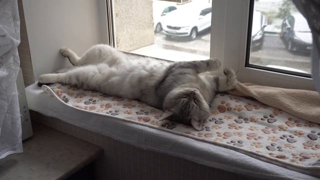 ЖИЗНЬ ВИДЕОКАРТ ПОСЛЕ МАЙНИНГА | КАК КУПИТЬ ВИДЕОКАРТУ НА АВИТО | ПОСМОТРИ ПРЕЖДЕ ЧЕМ ПОКУПАТЬ смотреть онлайн