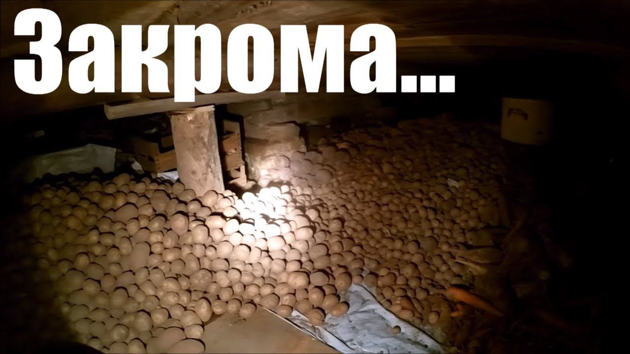 Деревенский дом // Неудобные закрома // Подполье