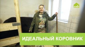 Как обустроить коровник. Площадь коровника. Стойло для коров