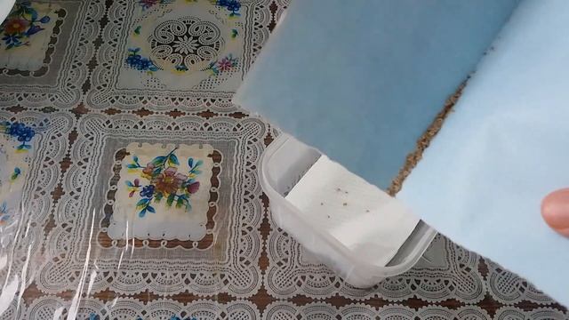 Павловния из семян - Я посадил семена смотреть онлайн