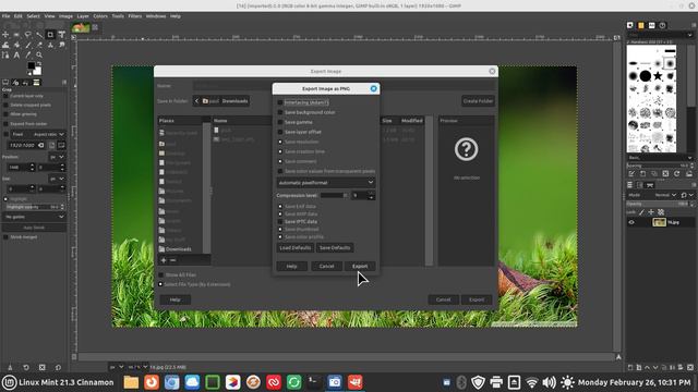 Linux Mint 21.3 - Cinnamon - GRUB Custom Background Tips.