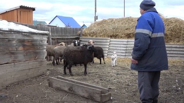 21.10.2022 Новости района смотреть онлайн