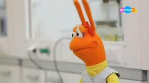 ТриО! Химик (от 31.01.2023)