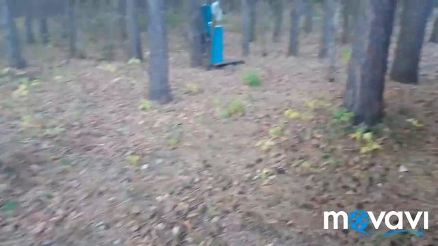 #вдеревне  #Бакалы  Поездка в деревню ..в родные края..