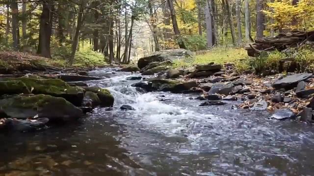 Музыка У-син Вода\Лечебная музыка для Почек смотреть онлайн