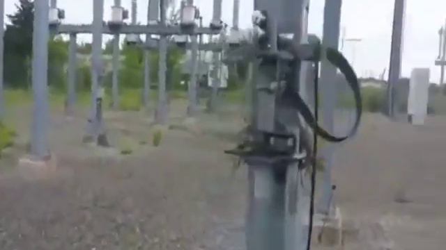 Все птенцы выглядят как будто они умирают смотреть онлайн