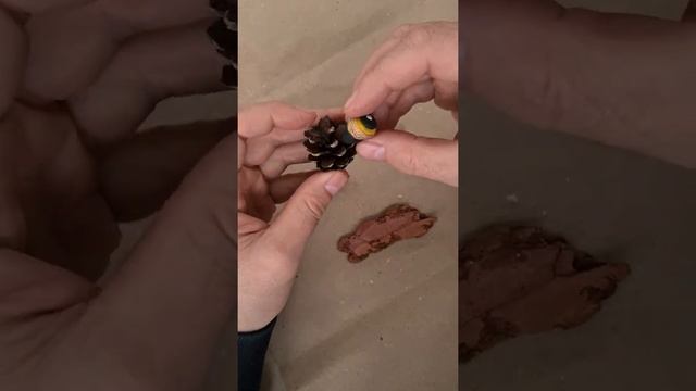 Делаем забавную сову из шишки и пластилина. Fancy Pine Cone Clay Owl. Autumn Crafts. смотреть онлайн