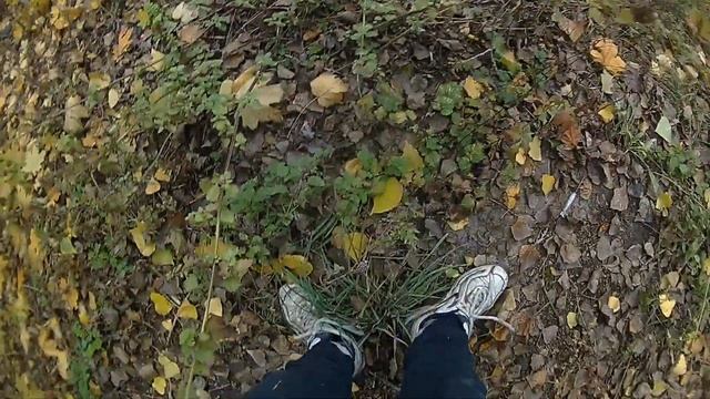 (STALK)НАЙШЛИ ЛОГОВО БОМЖЕЙ - ПИШЛЫ НА ЗАБРОШЕНОЕ СТО/VLOG/ смотреть онлайн