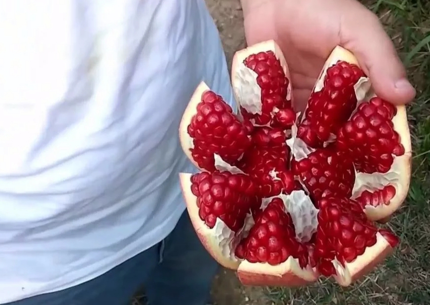 КАК РАЗДЕЛАТЬ ГРАНАТ смотреть онлайн