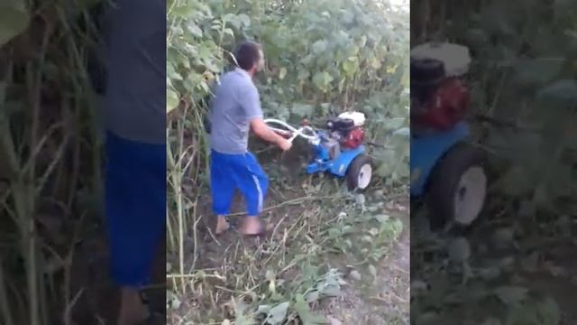 Мотоблок нева,творит чудеса. смотреть онлайн