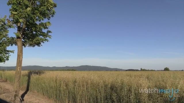 Top 5 Facts About MDMA смотреть онлайн