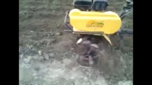 Фрезы Гусиные лапки от Целина