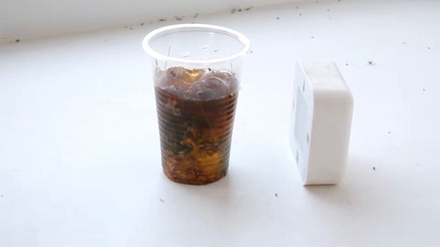 Газон в орбизе у не растёт