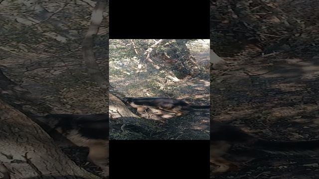 Отдых, работа