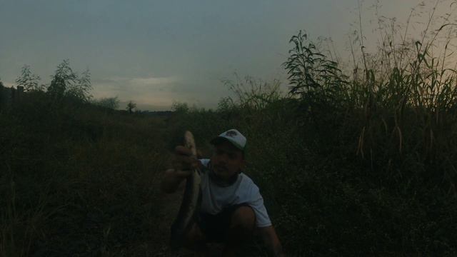 Snakehead fishing in laguna lake | ikan gabbus monster смотреть онлайн