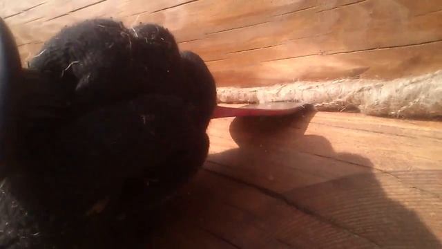 Конопатка сруба Вологда.Советы,материалы,инструмент,способы. смотреть онлайн