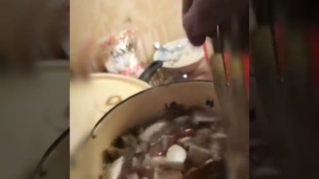 Научные Эксперименты