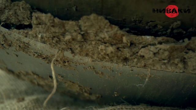 Благодаря этим ребятам вы получаете такие красивые растения! смотреть онлайн