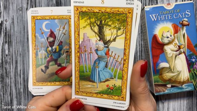 Кошачьи Колоды: Tarot of White Cats & CatTarot смотреть онлайн