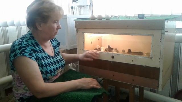 ВЛОГ ЧУМАЧЕЧАЯ ВЕСНА ПЕНСИОНЕРКИ В СЕЛЕ/ ЧУБАТЫЕ ЦЫПЛЯТА? смотреть онлайн