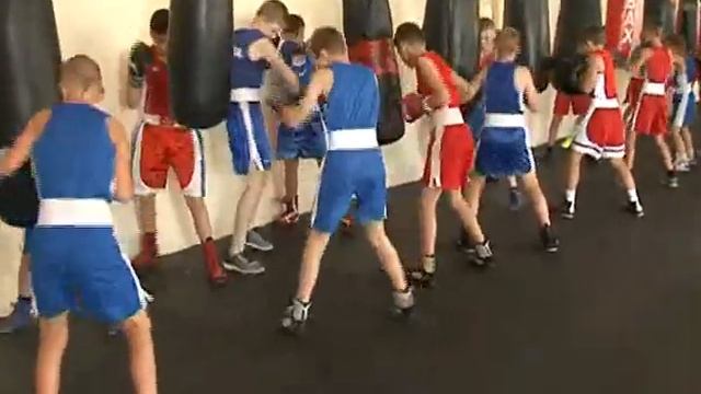 День бокса отметили в Курске