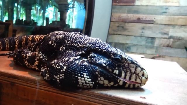 США. Куда сходить с детьми в ОРЛАНДО? Orlando Science Center МУЗЕЙ НАУКИ смотреть онлайн