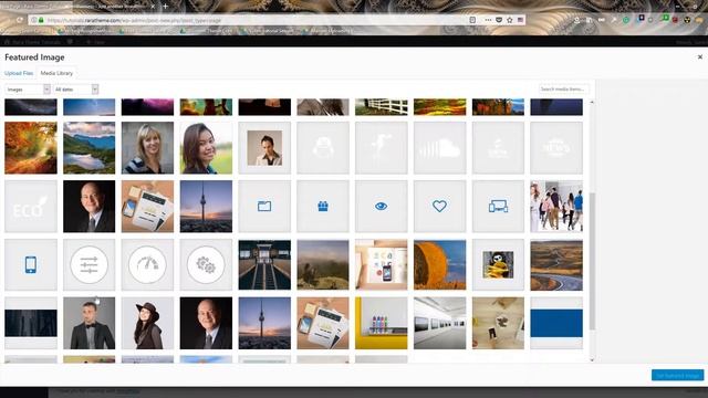 Step 9: Our Clients Section | Business One Page WordPress Theme смотреть онлайн