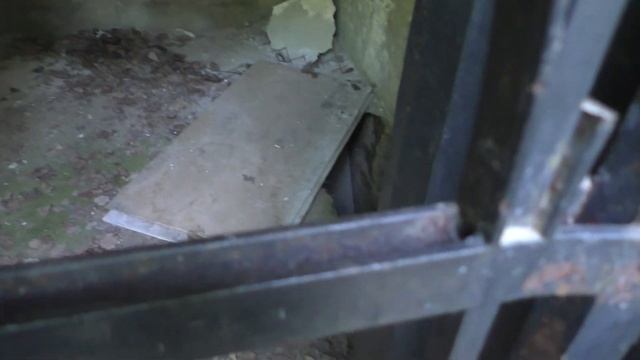 Прогулка по Шуваловскому парку смотреть онлайн