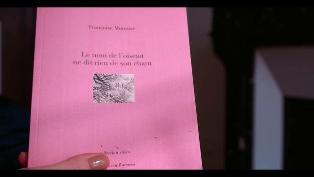 Книжные Покупки?Мои Украшения?Покупки Из Зоомагазина?Париж Влог смотреть онлайн